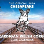 2016 CCWCC Calendar