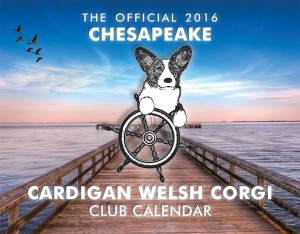 2016 CCWCC Calendar