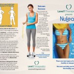 NuLean Brochure