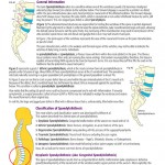 Spondylolisthesis Flyer