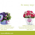 Wilhide Brochure