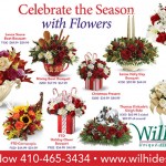 Wilhides Holiday Postcard