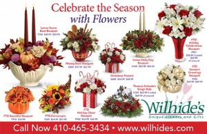 Wilhides Holiday Postcard